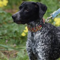 Frida